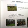 Kawałek historii